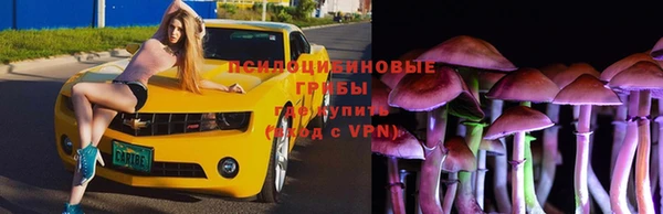 скорость Алзамай