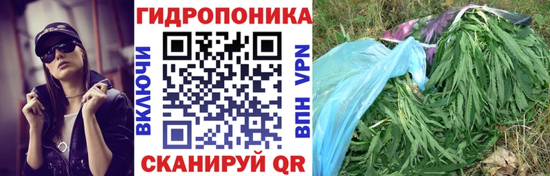 дарк нет официальный сайт  Калач-на-Дону  Канабис MAZAR 